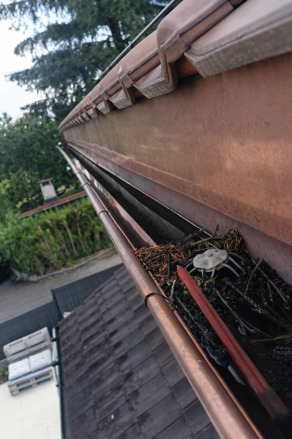 chatgpt image 25 janv. 2026, 20 49 36